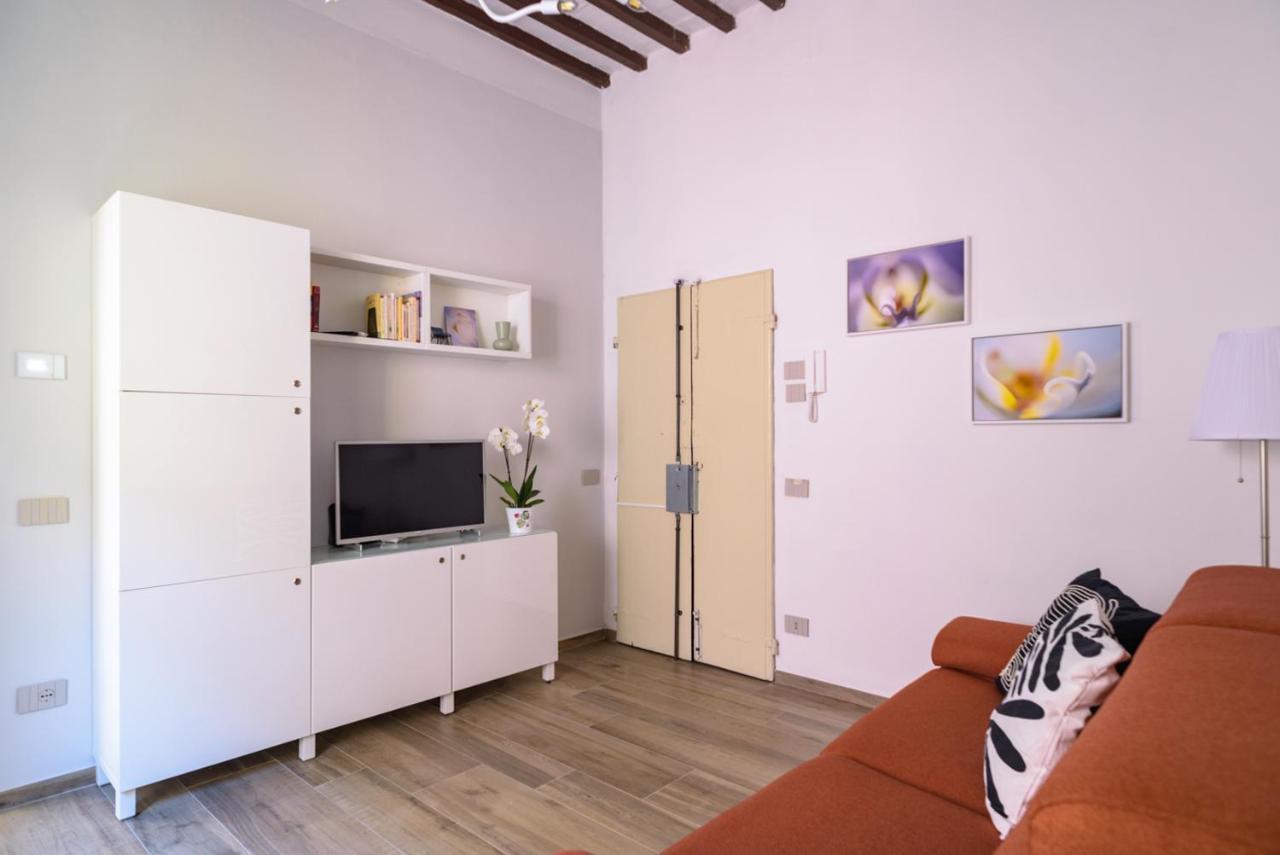 Pisa Art Apartment Εξωτερικό φωτογραφία